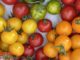Verschiedene Tomatensorten zum Tag der Lebensmittelvielfalt